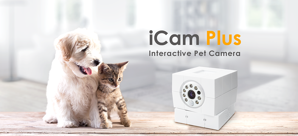 家用IP摄像机监控以及动物