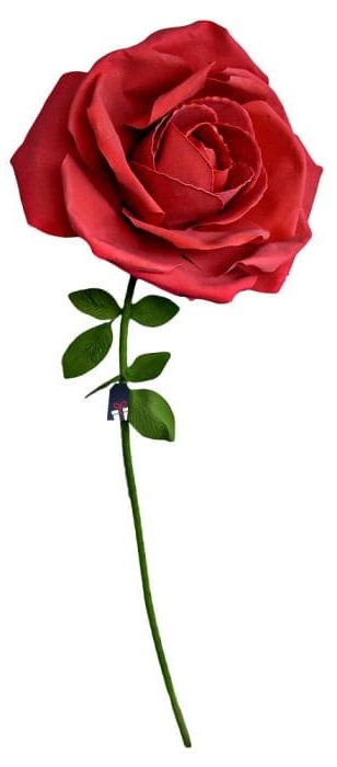 XXL 巨型玫瑰 - 玫瑰作为送给女士的礼物