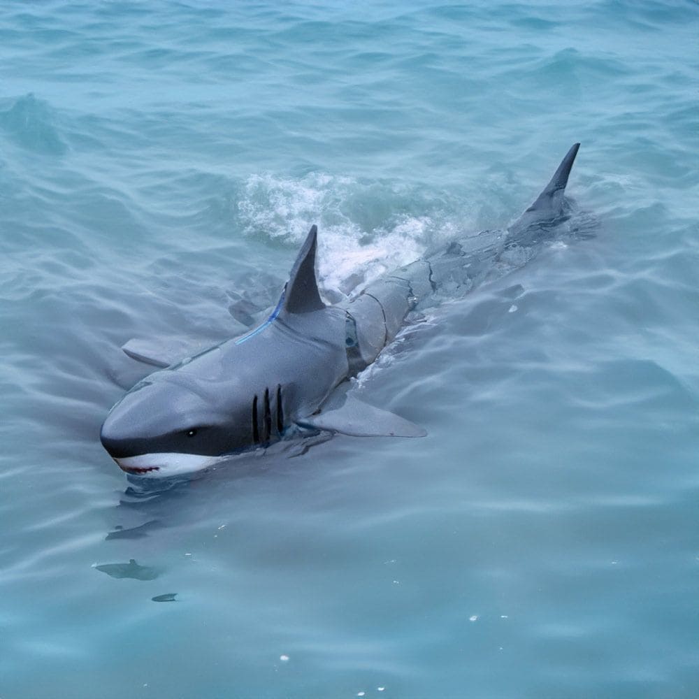 遥控鲨鱼，用于用控制器遥控进入水中