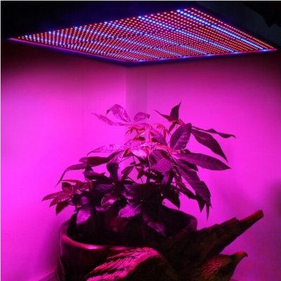LED植物灯